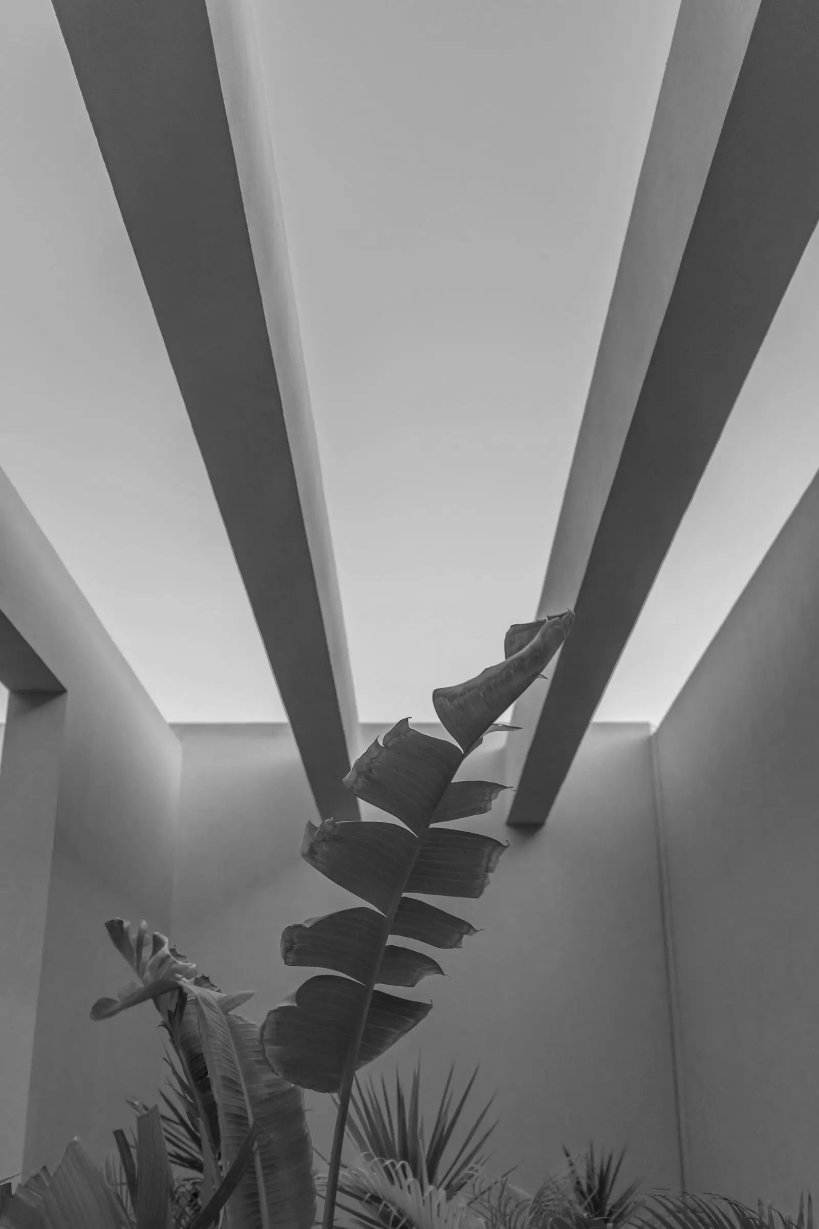 Escalera helicoidal vista en penumbra