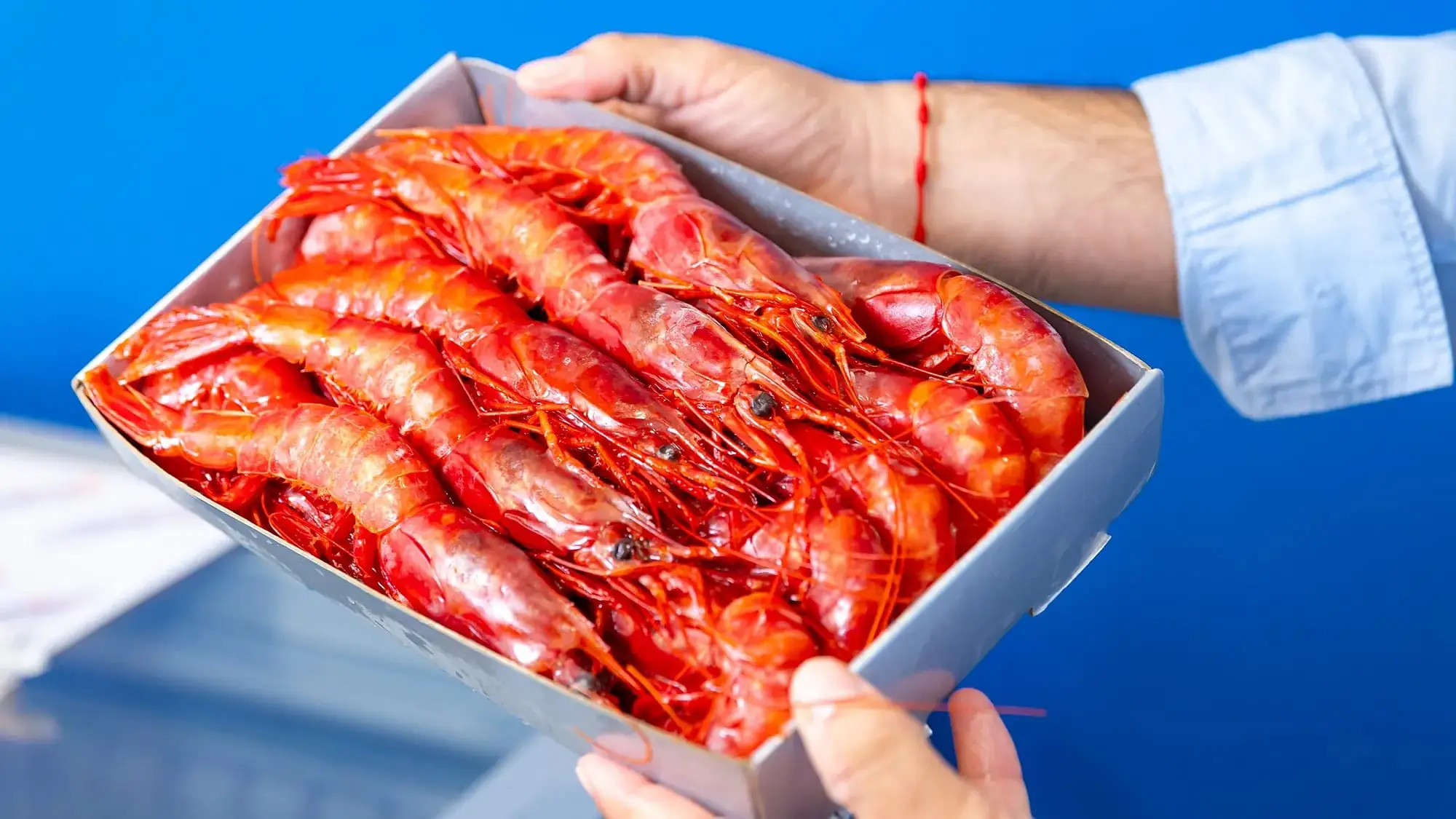 Caja de gamba roja cocida sostenida en alto en Congelados Fernando