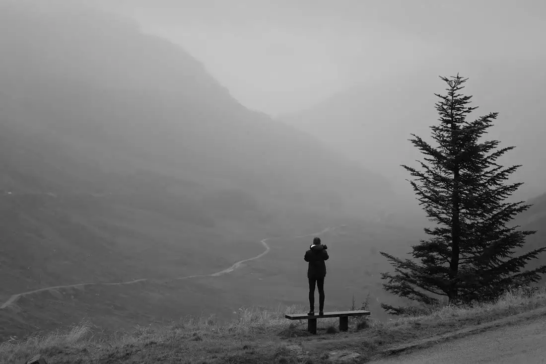Una figura sola sobre un mirador observa un valle en niebla con un sendero al fondo