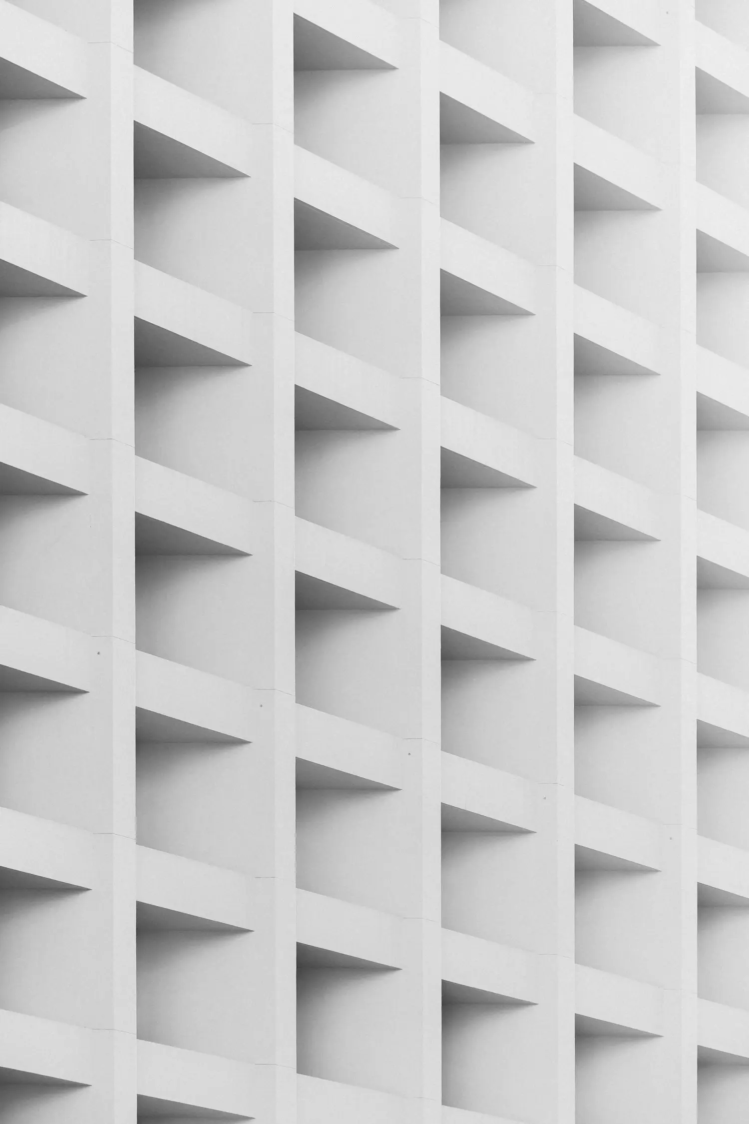 Retícula de fachada modernista en blanco y negro, imagen de concepto para el proyecto Nórdica